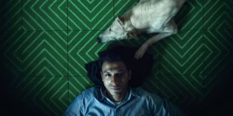 Le Centre du cinéma arabe dévoile les nominations pour Cannes 2 - Le Progrès Egyptien Le Centre du cinéma arabe dévoile les nominations pour Cannes 1 - Le Progrès Egyptien