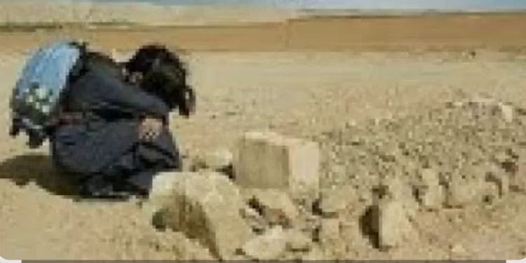 Les droits des orphelins: Une protection divine et une responsabilité humaine 1 - Le Progrès Egyptien