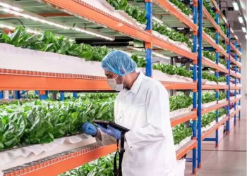 Irrigation : Facilité et soutien aux investisseurs