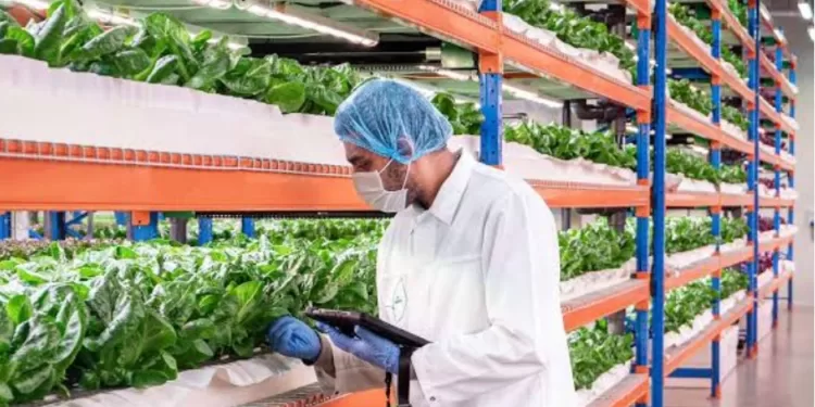 Irrigation : Facilité et soutien aux investisseurs 1 - Le Progrès Egyptien