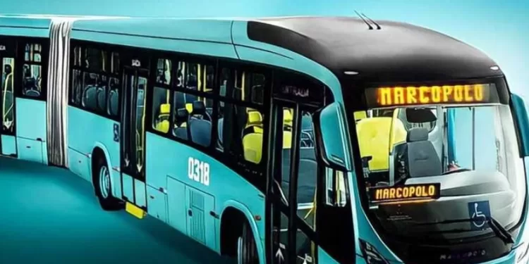 Etendre la mise en place de transports en commun écologiques 1 - Le Progrès Egyptien