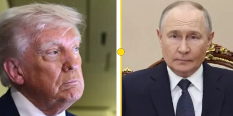 Appel à Poutine: Trump annonce des négociations mais pas de cessez-le-feu en Ukraine 1 - Le Progrès Egyptien