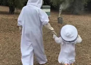 Lilibet petite apicultrice en bottes arc-en-ciel