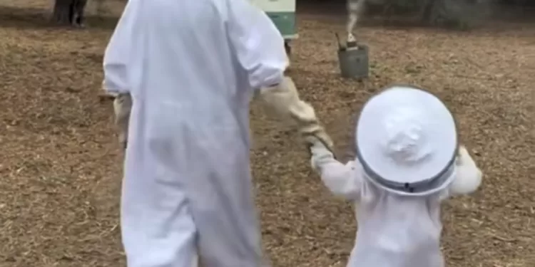 Lilibet petite apicultrice en bottes arc-en-ciel 2 - Le Progrès Egyptien Lilibet petite apicultrice en bottes arc-en-ciel 1 - Le Progrès Egyptien