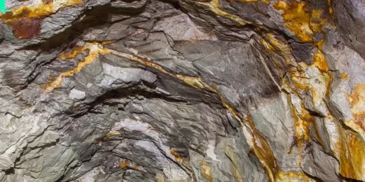 Le PM annonce une importante découverte d'or 1 - Le Progrès Egyptien