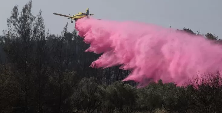 Les pompiers luttent toujours contre le feu entre Jérusalem et Tel-Aviv 1 - Le Progrès Egyptien