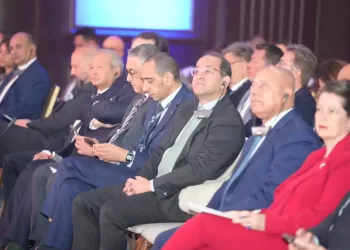 Davantage de partenariats d’investissement entre les secteurs privés égyptien et français