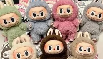 Un développeur énergétique met en garde contre le “Labubu”!