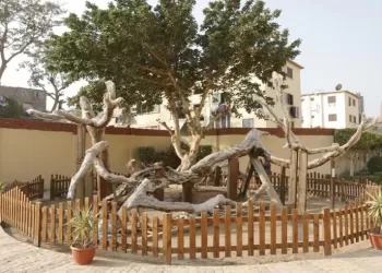 Matareya, histoire et civilisation