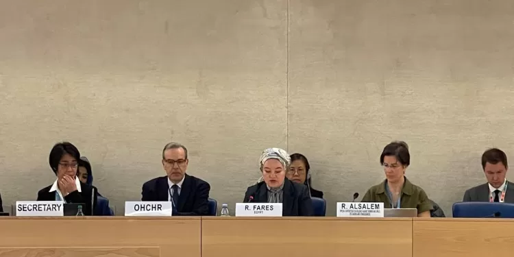 Le ministère de la Solidarité sociale représente l'Egypte dans un atelier onusien 1 - Le Progrès Egyptien