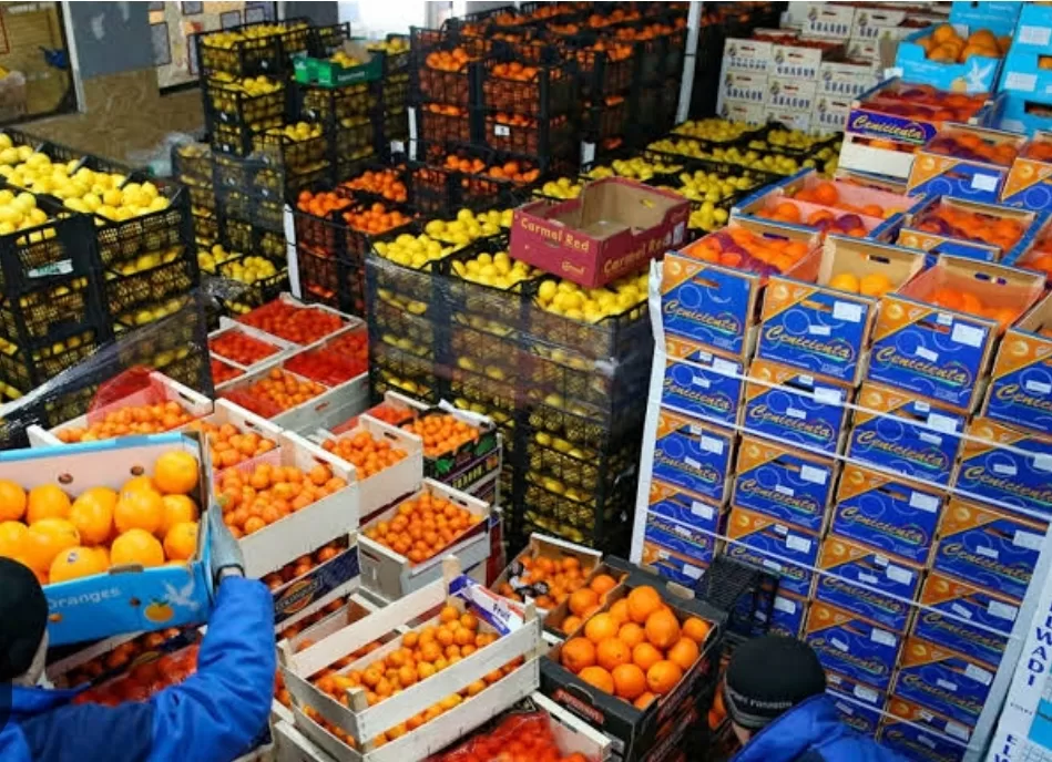 Un grand essor pour les exportations agricoles 3 - Le Progrès Egyptien