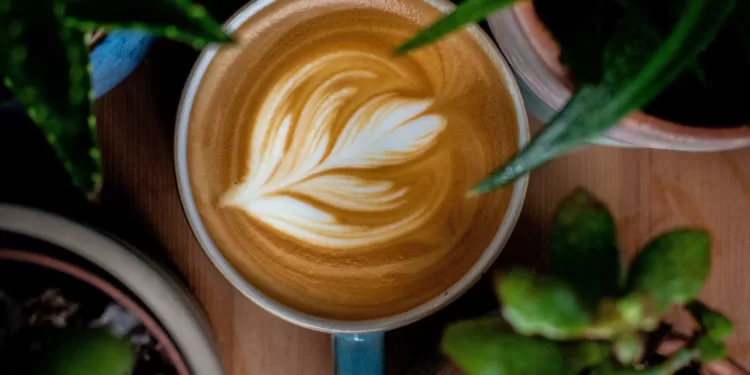 Vers un café responsable ? 1 - Le Progrès Egyptien