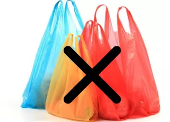 Usage des sacs plastiques : Sensibilisation sur les risques écologiques