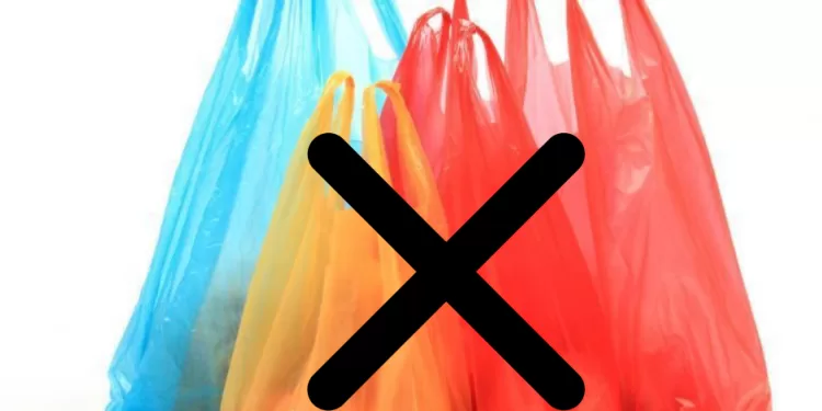 Usage des sacs plastiques : Sensibilisation sur les risques écologiques 1 - Le Progrès Egyptien