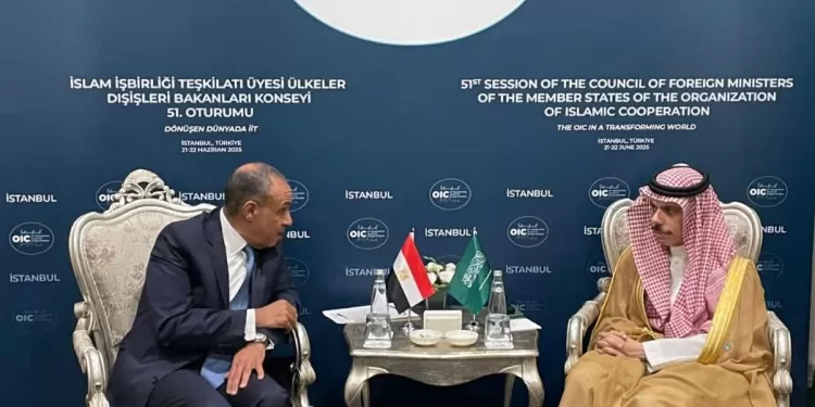 Istanbul: Abdel-Aati s'entretient avec son homologue saoudien 1 - Le Progrès Egyptien