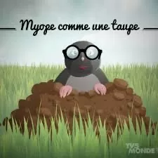 Pour améliorer votre français 6 - Le Progrès Egyptien Pour améliorer votre français 5 - Le Progrès Egyptien