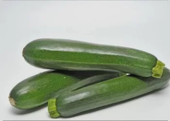 Ne ratez pas de manger la courgette, légume hydratant plein de vitamines C et B9