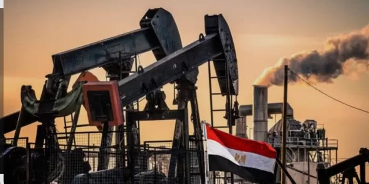 Soutien au secteur du pétrole et plus de facilités à l'attraction des investissements 1 - Le Progrès Egyptien