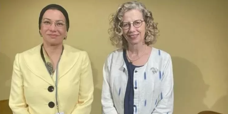 Un grand pas vers la réduction des sacs plastiques à usage unique 2 - Le Progrès Egyptien Un grand pas vers la réduction des sacs plastiques à usage unique 1 - Le Progrès Egyptien