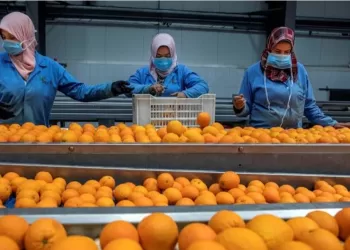 Un grand essor pour les exportations agricoles