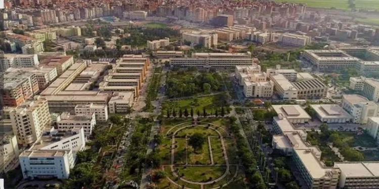 L'Université de Mansoura, pour la 1ère fois dans le THEIR 2025 2 - Le Progrès Egyptien L'Université de Mansoura, pour la 1ère fois dans le THEIR 2025 1 - Le Progrès Egyptien