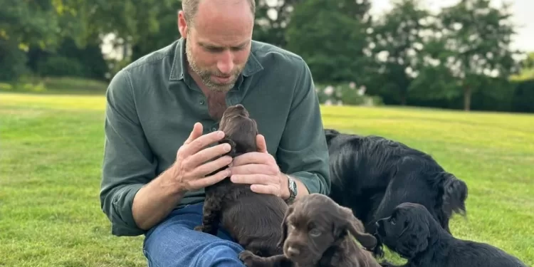 Adorable photo de Kate pour l’anniversaire du William 1 - Le Progrès Egyptien
