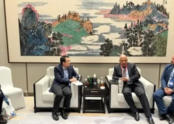 Energie renouvelable : Discussion avec la Chine