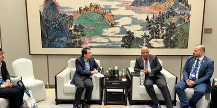 Energie renouvelable : Discussion avec la Chine 1 - Le Progrès Egyptien