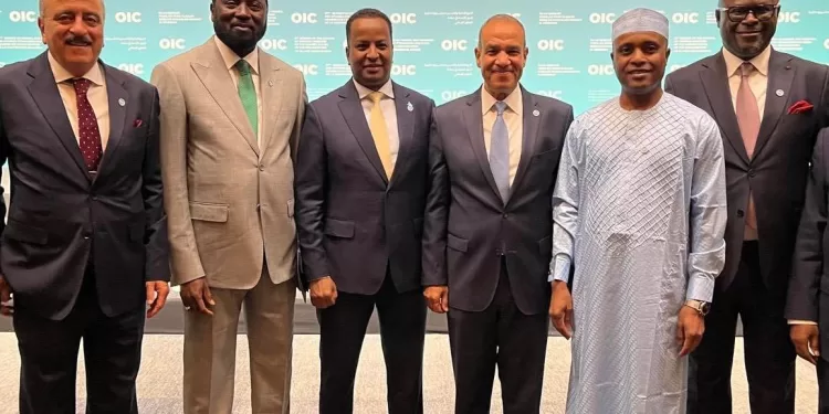 Istanbul : Série de rencontres pour Abdel Aati avec ses homologues 1 - Le Progrès Egyptien