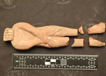 Coopération avec la France pour la restitution des pièces antiques