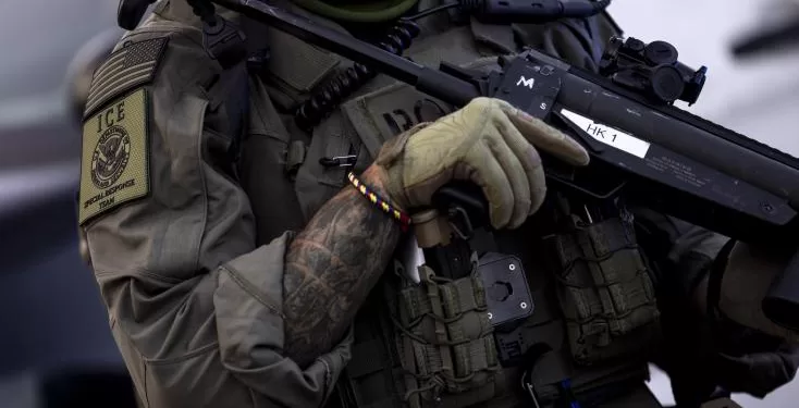 Trump ordonne de nouvelles opérations antimigrants à Los Angeles, Chicago et New York 1 - Le Progrès Egyptien