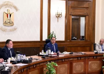 Gouvernement : Directives urgentes aux ministres du Pétrole et de l’Electricité