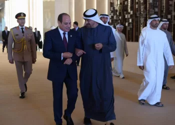 Egypte-Emirats : Alliance stratégique et appel à un cessez-le-feu immédiat à Gaza