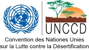 Félicitations à Dr Yasmine Fouad pour sa nomination à l’ONU 2 - Le Progrès Egyptien Félicitations à Dr Yasmine Fouad pour sa nomination à l’ONU 1 - Le Progrès Egyptien
