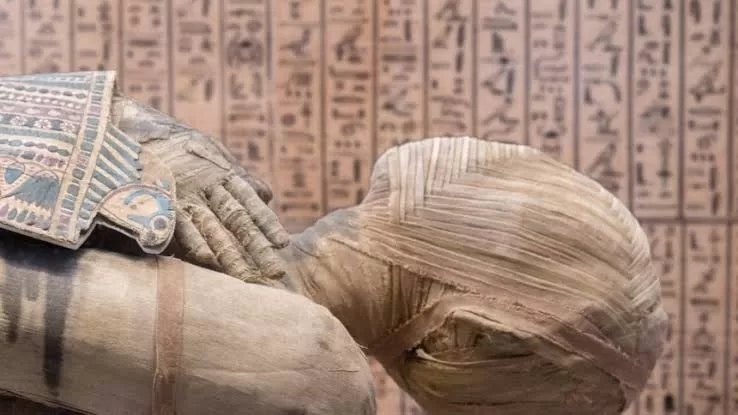 Les 1ères origines génétiques de l’Egypte antique enfin décryptées 4 - Le Progrès Egyptien Les 1ères origines génétiques de l’Egypte antique enfin décryptées 3 - Le Progrès Egyptien