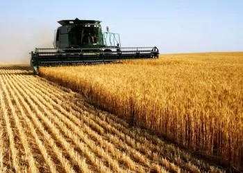 L’avenir de l’agriculture face au changement climatique: Innovations et défis pour une alimentation durable