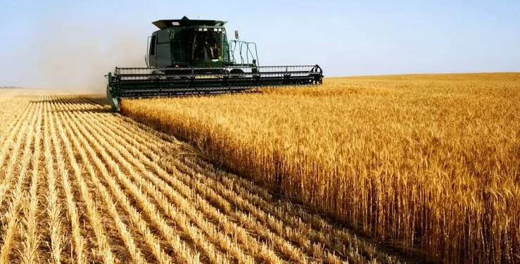 L'avenir de l'agriculture face au changement climatique: Innovations et défis pour une alimentation durable 2 - Le Progrès Egyptien L'avenir de l'agriculture face au changement climatique: Innovations et défis pour une alimentation durable 1 - Le Progrès Egyptien