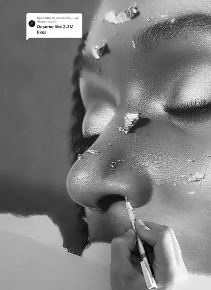 400 heures pour un dessin: Quand l’art défie la patience 1 - Le Progrès Egyptien