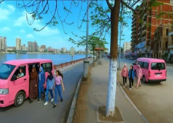 Un bus rose réservé aux femmes : Une idée qui divise