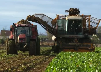 Agriculture : Renforcement de la coopération avec l’Espagne