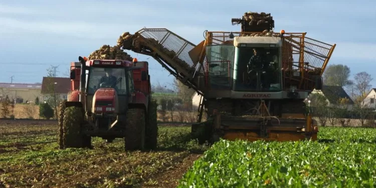 Agriculture : Renforcement de la coopération avec l’Espagne 1 - Le Progrès Egyptien