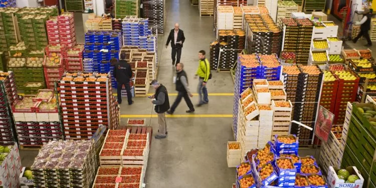 Augmentation des exportations agricoles 2 - Le Progrès Egyptien Augmentation des exportations agricoles 1 - Le Progrès Egyptien