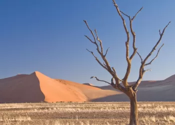Le saviez-vous? Convention des Nations Unies sur la lutte contre la désertification