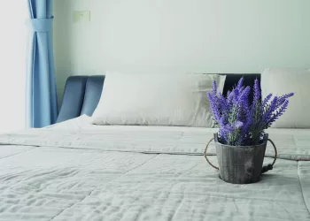 La lavande pour mieux dormir