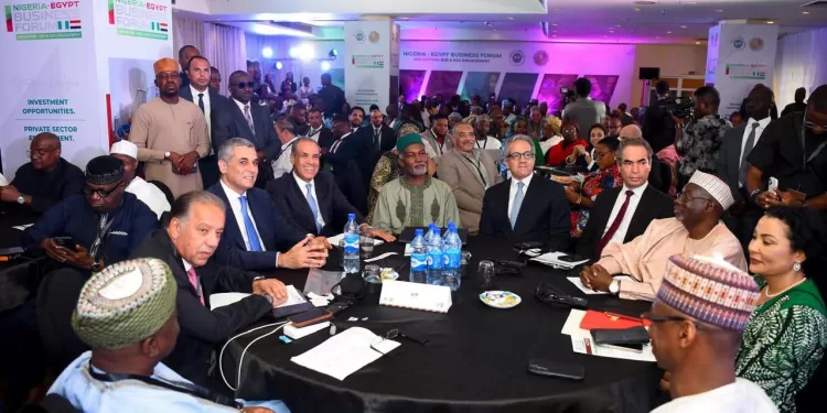 Le Nigeria soutient officiellement la candidature d’El-Anany à l’UNESCO 2 - Le Progrès Egyptien Le Nigeria soutient officiellement la candidature d’El-Anany à l’UNESCO 1 - Le Progrès Egyptien