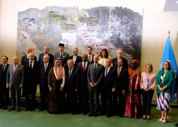 Abdel-Aati à la conférence internationale sur le règlement pacifique de la question palestinienne à New York