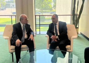 Abdel-Aati exprime  son soutien aux droits légitimes du peuple palestinien