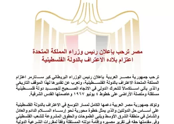 L'Égypte salue l'annonce du PM britannique de l'intention de son pays de reconnaître l'État palestinien 15 - Le Progrès Egyptien
