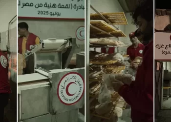 Environ 4 500 tonnes d’aide alimentaire de base sont entrées dans la bande de Gaza en seulement 4 jours 5 - Le Progrès Egyptien