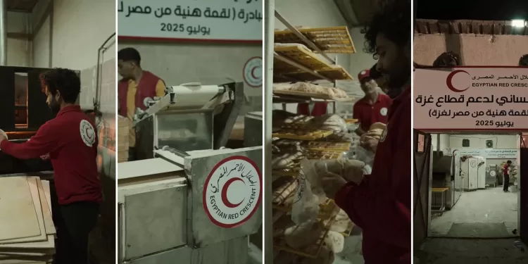 Environ 4 500 tonnes d’aide alimentaire de base sont entrées dans la bande de Gaza en seulement 4 jours 2 - Le Progrès Egyptien Environ 4 500 tonnes d’aide alimentaire de base sont entrées dans la bande de Gaza en seulement 4 jours 1 - Le Progrès Egyptien